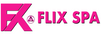 MAYORISTA FLIX SPA – Inicio